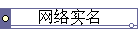 ʵ
